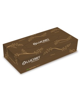 Lucart EcoNatural 100 V Facial tissues 100 sheets/box